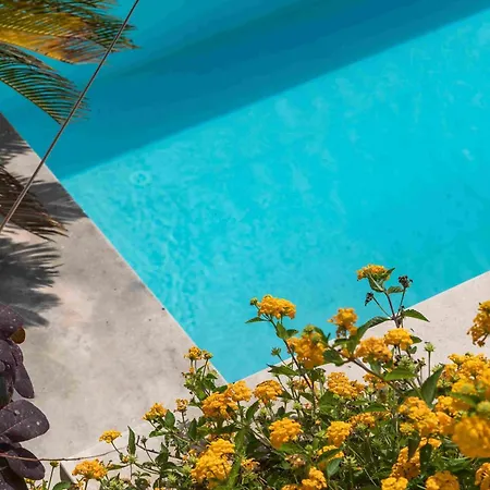 וילה Luxury Hvar Carpe Diem Newly Renovated With Private Pool By The Sea *