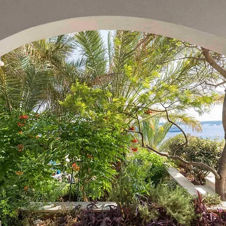 Luxury Hvar Carpe Diem Newly Renovated With Private Pool By The Sea וילה