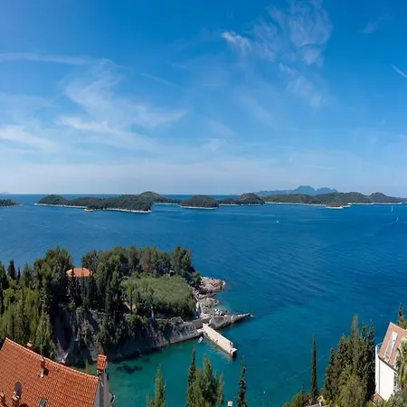 Villa Luxury Hvar Carpe Diem With Private Pool By The Sea *