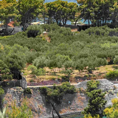 Luxury Hvar Carpe Diem Newly Renovated With Private Pool By The Sea 赫瓦尔